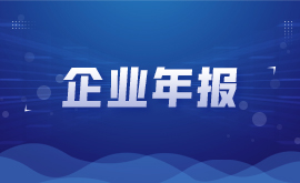 企业年报
